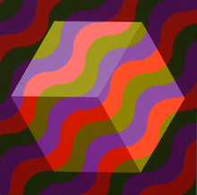 Load image into Gallery viewer, Hypnagogia N.2 - Pablo Zamudio
